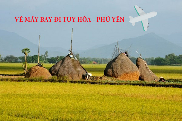 Vé máy bay đi Phú Yên giá rẻ, trực tuyến - namthanh.vn