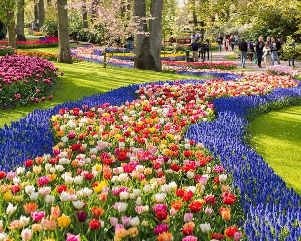 Vườn hoa Keukenhof