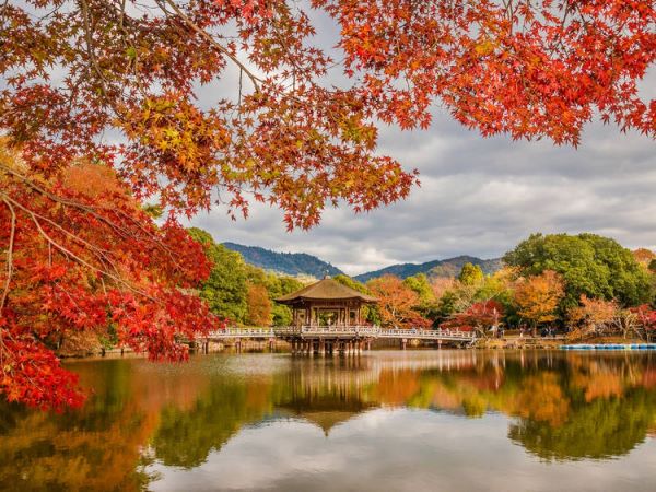 ​Khám phá trọn mùa thu Nhật Bản