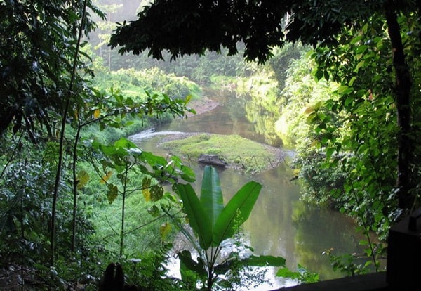 Di sản rừng mưa nhiệt đới đảo Sumatra, Indonesia