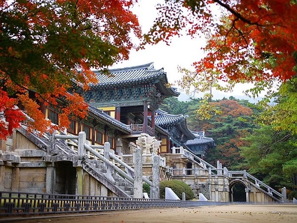 Các địa danh hấp dẫn tour quá cảnh miễn phí tại Hàn Quốc