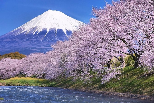 Đặt vé máy bay đi Nhật Bản giá rẻ ngắm Núi Phú Sĩ